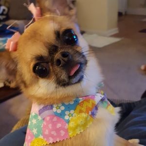 Meet your Posher, Janice